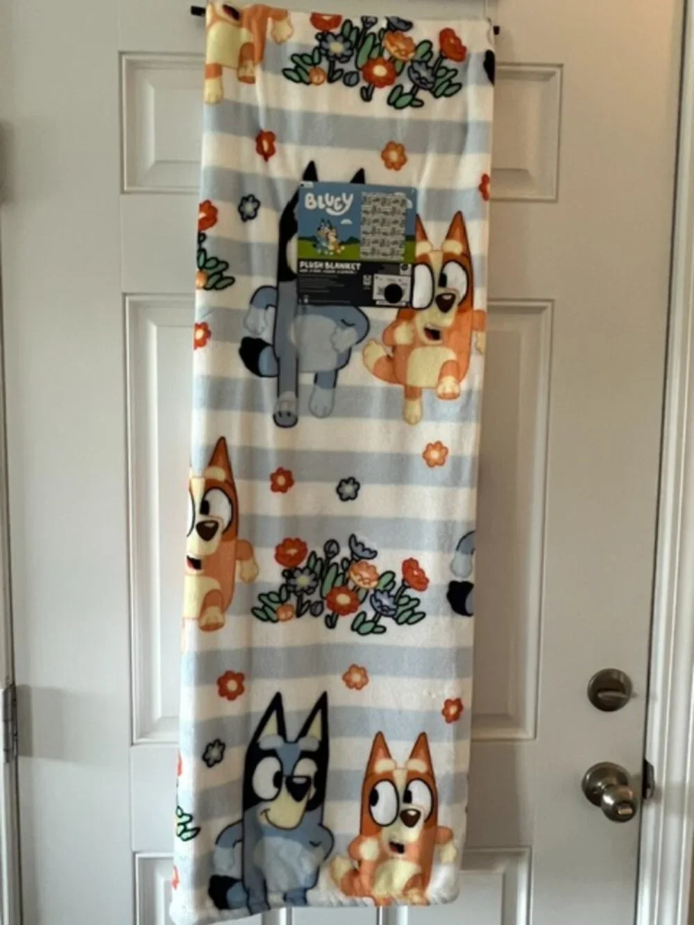 BLUEY SPRING OVERSIZED BLANKET